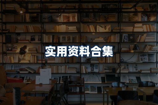 实用PDF资料展示